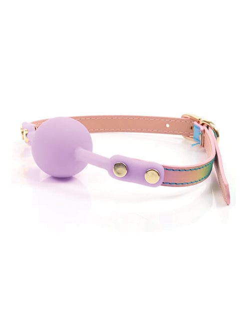 Hello Sexy! Gag Order - Iridescent Rainbow Bondage Blindfolds & Restraints