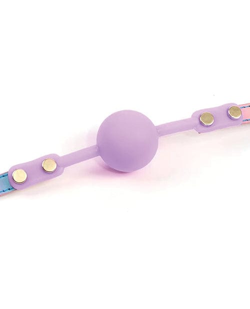 Hello Sexy! Gag Order - Iridescent Rainbow Bondage Blindfolds & Restraints
