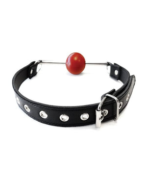 Rouge Leather Ball Gag with Stainless Steel Rod and Removable Ball - Black with Red Bondage Blindfolds & Restraints