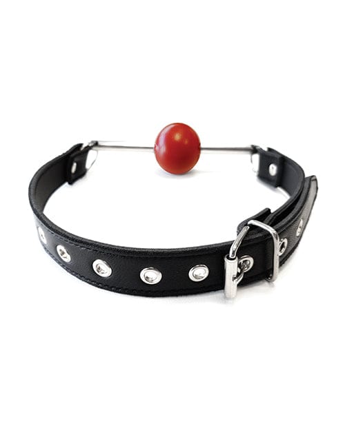 Rouge Leather Ball Gag with Stainless Steel Rod and Removable Ball - Black with Red Bondage Blindfolds & Restraints