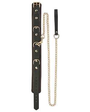 Spartacus Collar & Leash - Brown Leather w/Gold Accent Hardware Bondage Blindfolds & Restraints