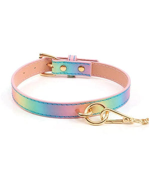 Hello Sexy! Hot Bitch Collar & Leash - Iridescent Rainbow Bondage Blindfolds & Restraints