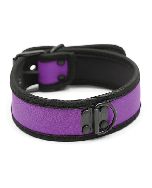 Plesur Neoprene Puppy Collar - Purple Bondage Blindfolds & Restraints