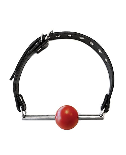 Rouge Leather Ball Gag with Stainless Steel Rod and Removable Ball - Black with Red Bondage Blindfolds & Restraints